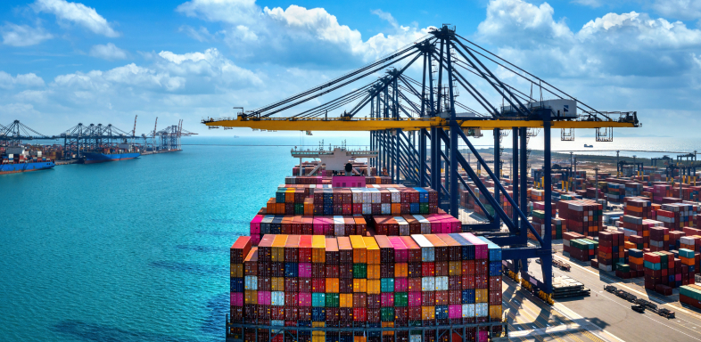 Exportación